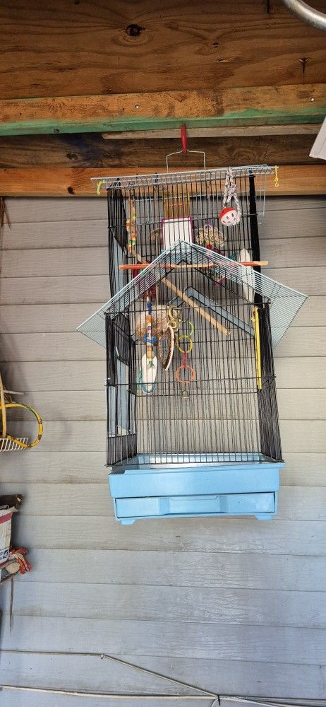 Bird Cage