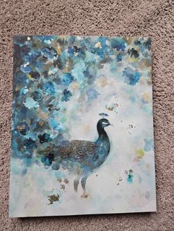 Peacock Canvas Art