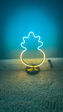 Pineapple light unused