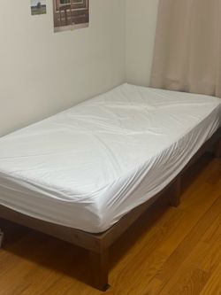 Twin Memory Foam Mattress (ZINUS 8 Inch) + Waterproof Mattress Protector