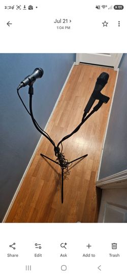 Dual Microphone Stand with Two Mics