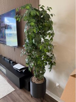Artificial Ficus Tree Plant