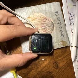 Apple Watch Series 6 (44mm)