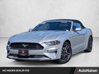 2019 Ford Mustang