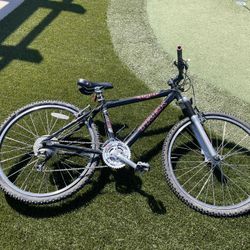 Trek Mountain Bike