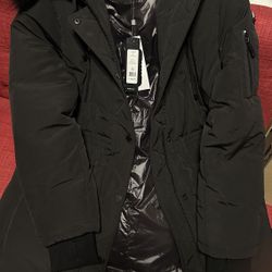 BCBGMAXAZRIA Coat