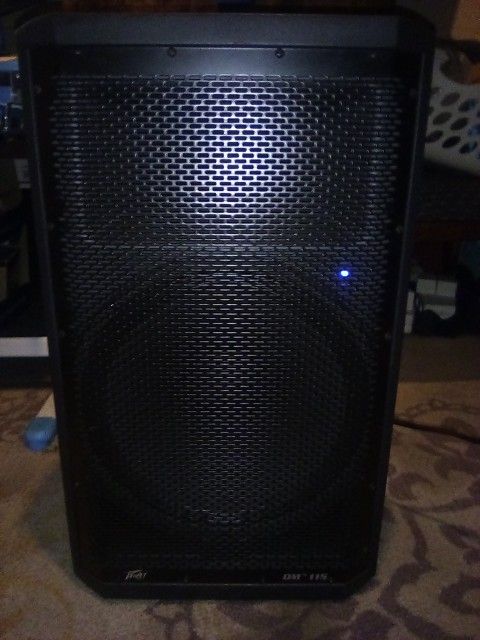 Peavey DM 115 Speaker