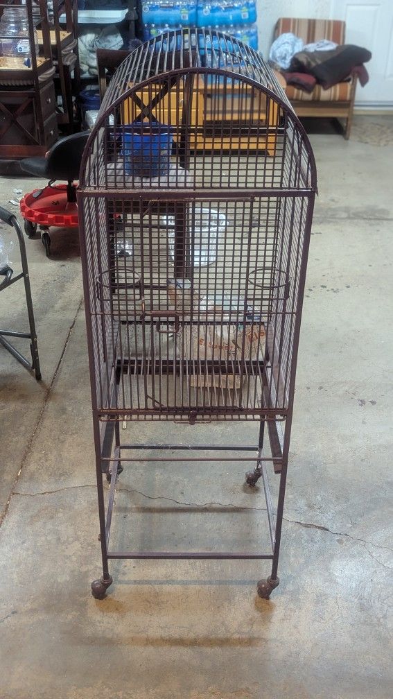 Bird Cage