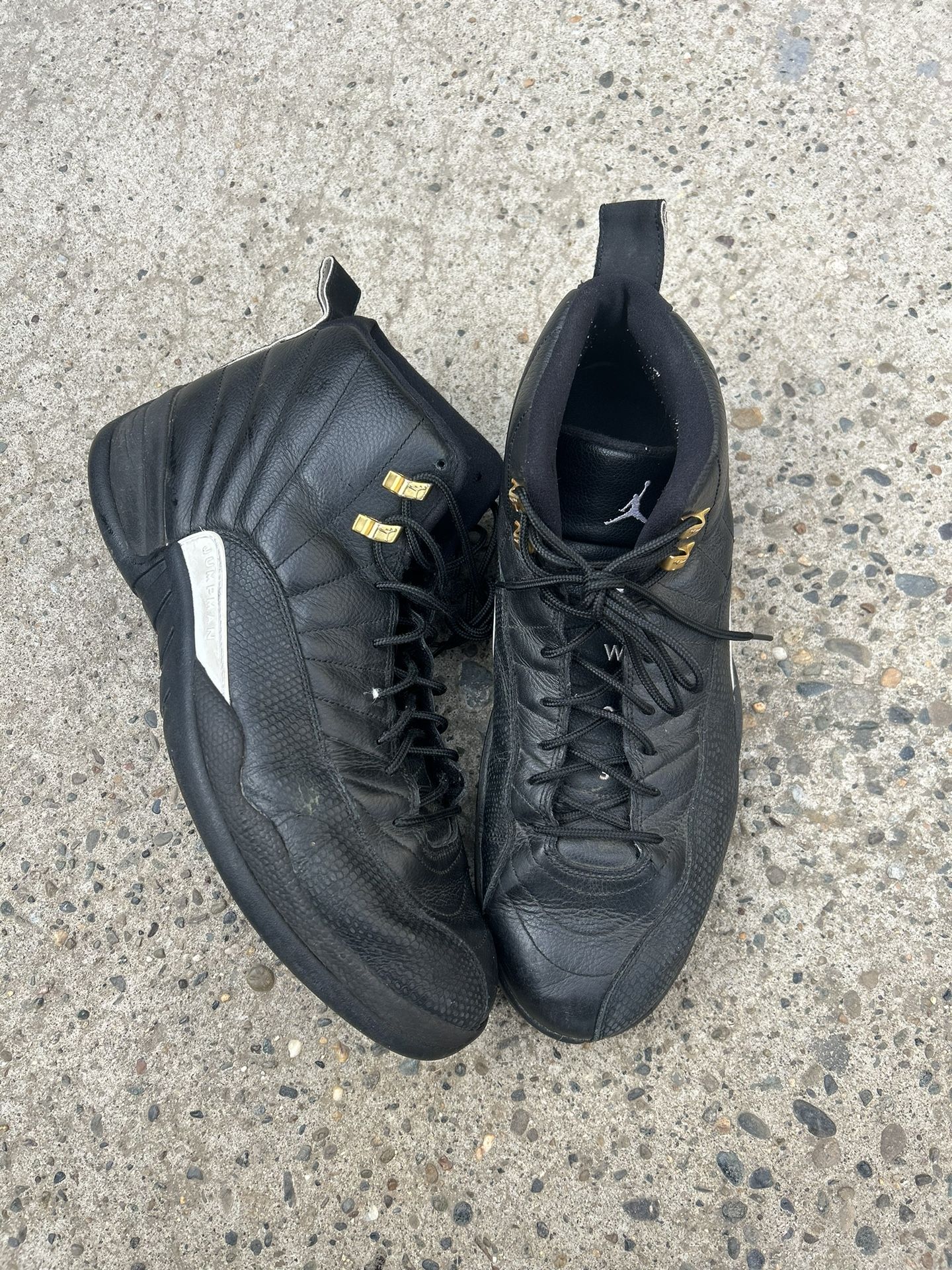 Master Jordan 12s Size 14
