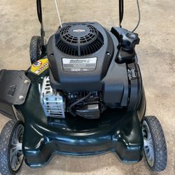 Bolens 20 inch online push mower