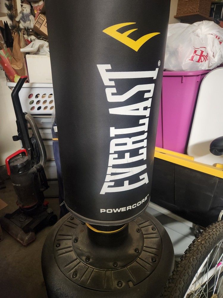 Everlast Standing Punching Bag
