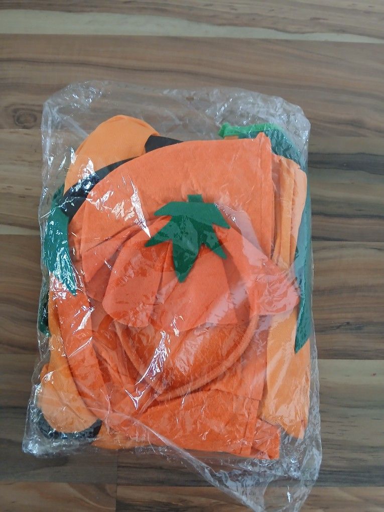 Halloween Pumpkin Costume