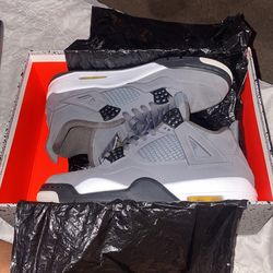 Jordan Retro 4s Cool Grey 2019