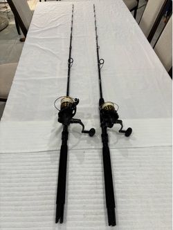 Daiwa BG 4000 & 4500 on palmetto 7’0” 17-40lb rods