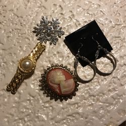 3 Pins And One Pair Of Ear Ring