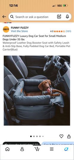 Dog car seat