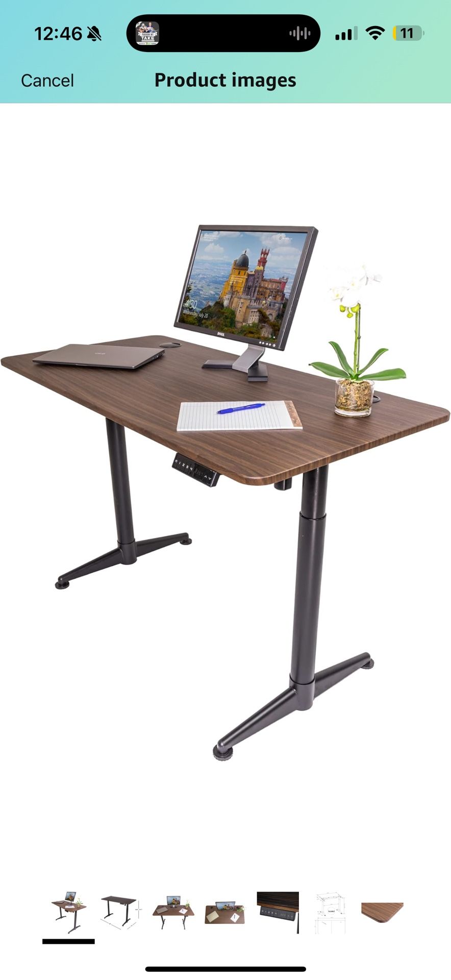 Standing Desk (Electric)