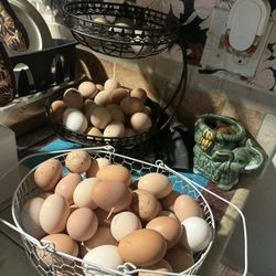 Fresh Eggs 