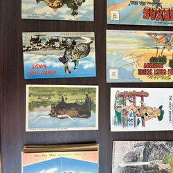 Vintage Postcards