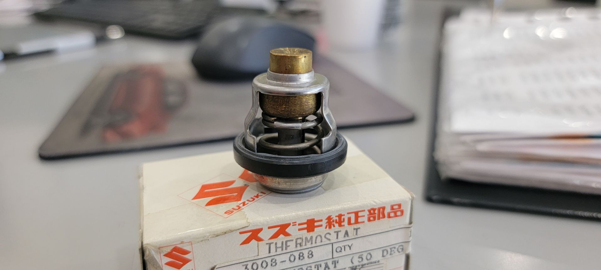 Thermostat (Vintage PWC-Jet Ski)