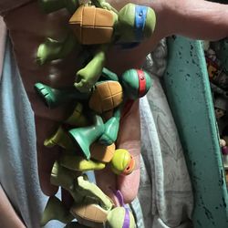 Teenage Mutant Ninja Turtles