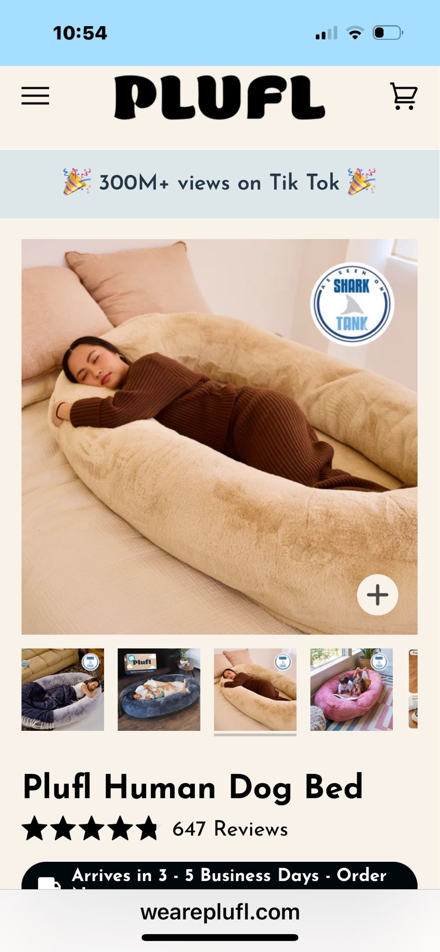 Human Bed Plufl Human Dog Bed Gray for Sale in Chula Vista, CA - OfferUp