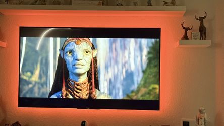 Sony Bravia 65inch TV