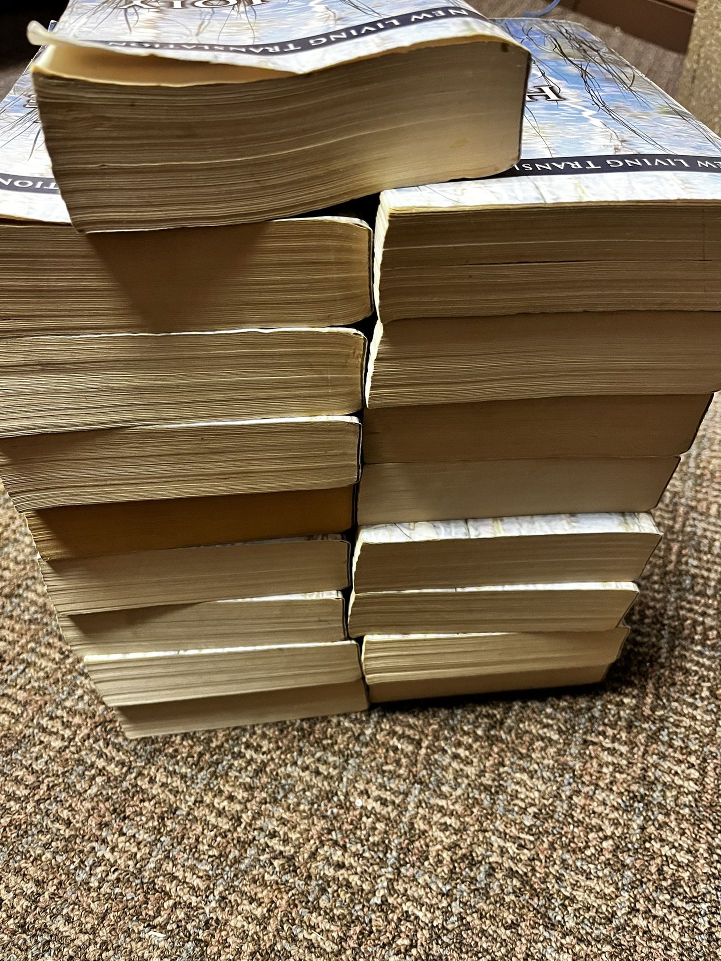 17 Bibles
