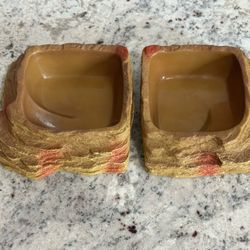 Reptile Food Water Dish