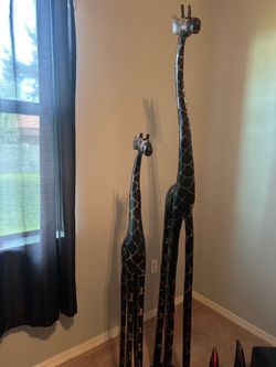Giraffes