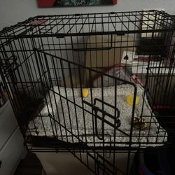 Small Animal Kennel/crate