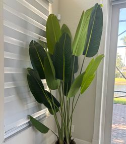 Open Box 8ft Artificial Bird of Paradise Plant – Realistic Tropical Palm Tree
