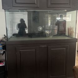 Fish Tank 200 Gal