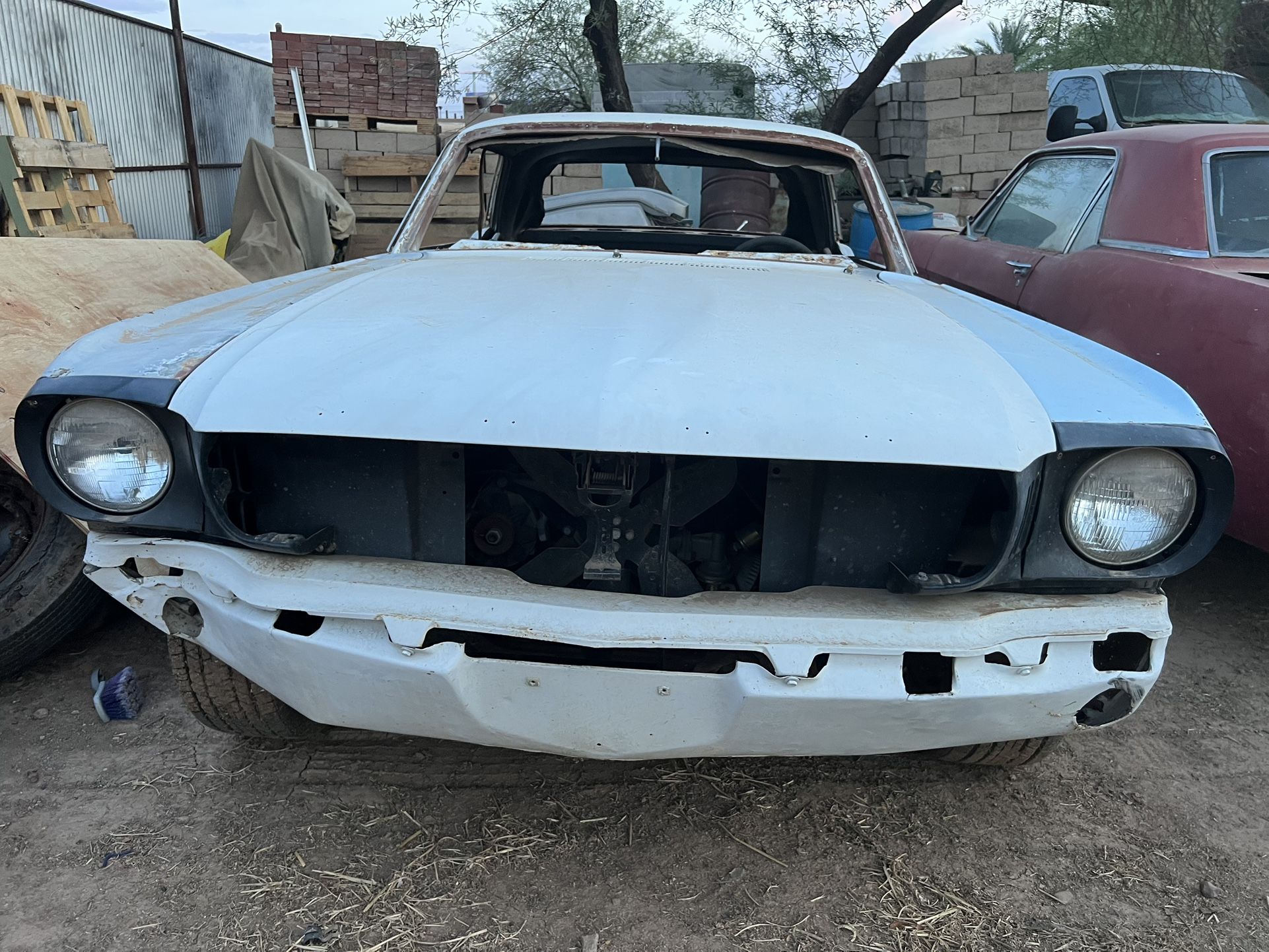 1966 Ford Mustang
