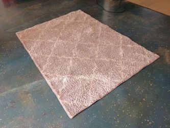Safavieh 5 x 7 Foot Area Rug