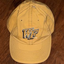 Vintage Wake Forest Demon Deacons  Logo  Athletic Strapback Cap  