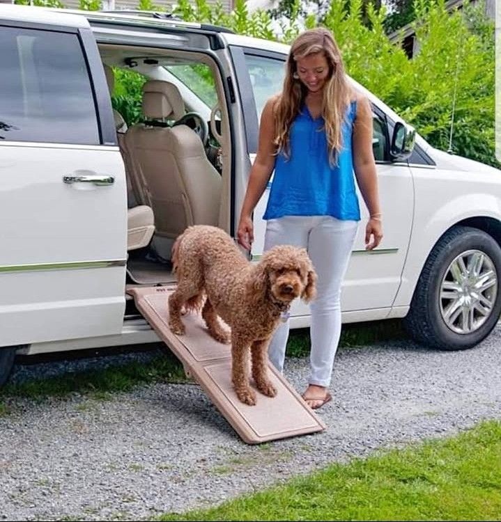 Ramps for Dogs and Cats, Maximum Traction Surface, Portable/Easy-Fold (No Tools Required), Built in