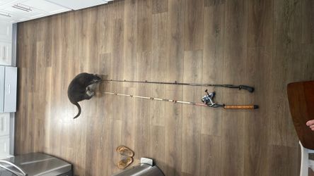 Two vintage working fishing rods and a reel