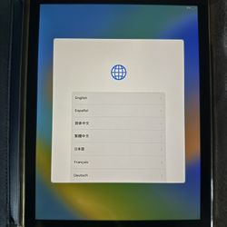 iPad Pro 
