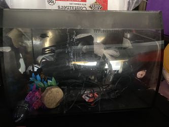 8 Gallon Aquarium