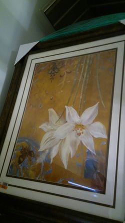 2 brand new Pictures