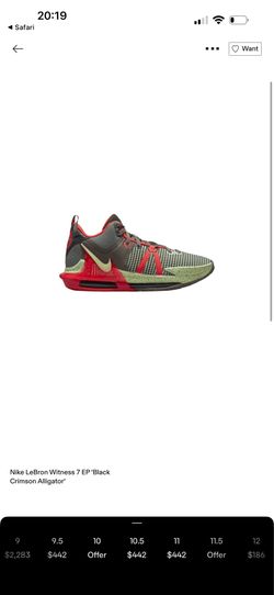 LeBron witness 7 alligators