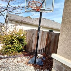 Basketball Hoop 🏀