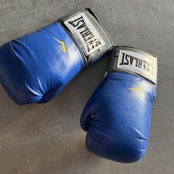 Everlast Boxing Gloves