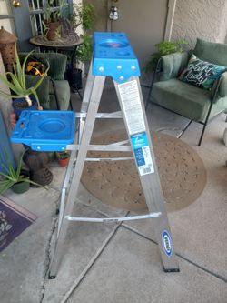 Werner 4ft Ladder 🪜