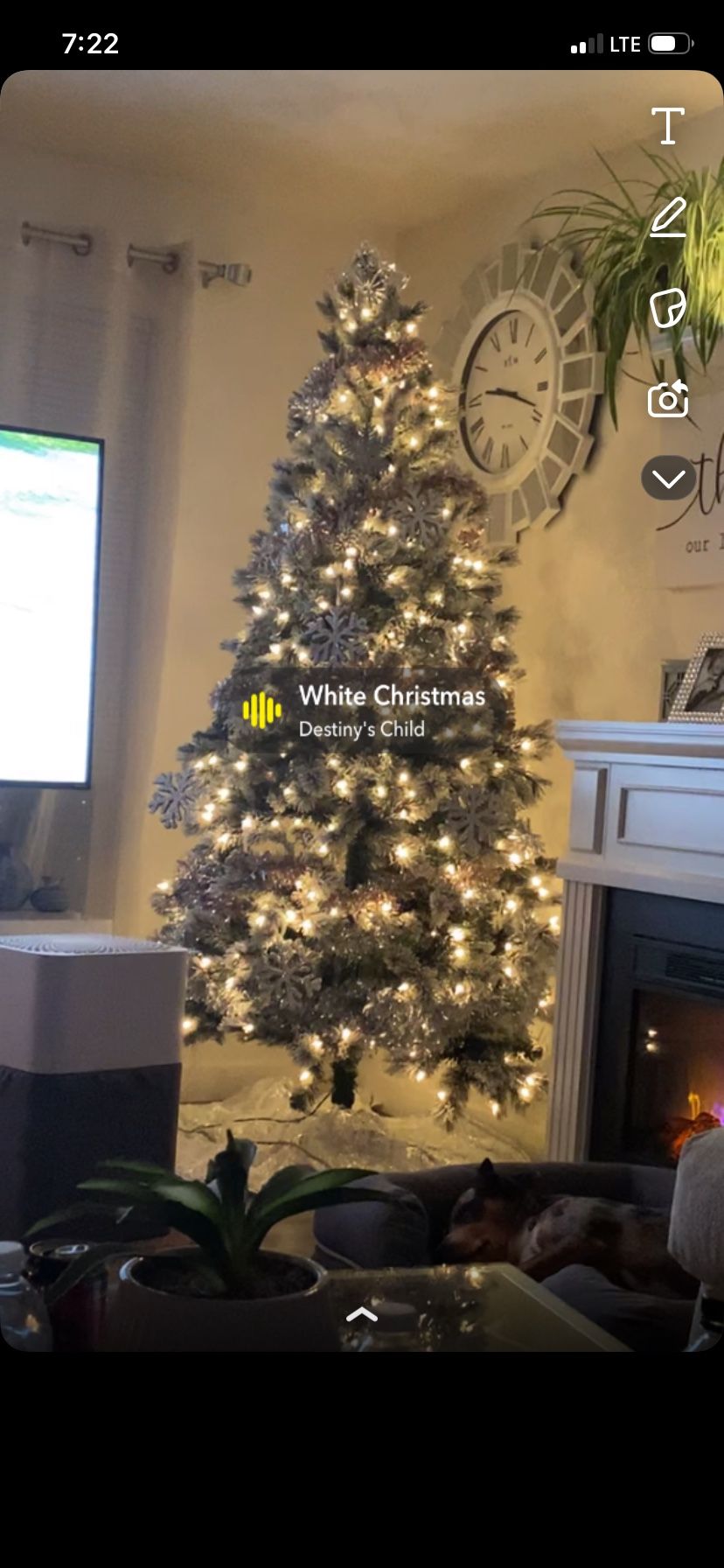 Christmas Tree