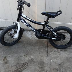 Kids Schwinn Bike