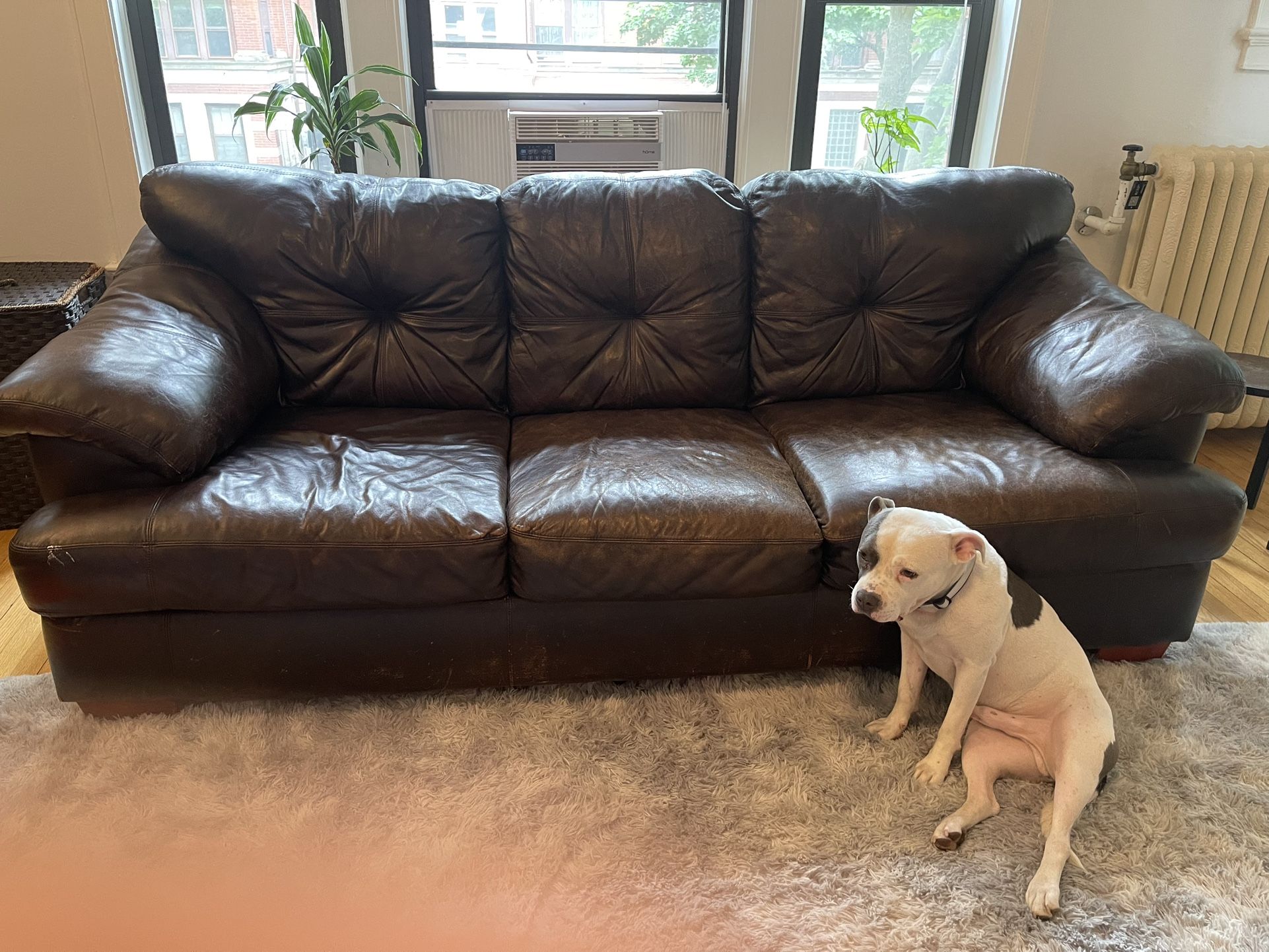 Brown Leather couch