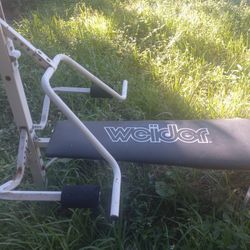 Gym Bench 