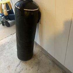 Everlast Punching Bag